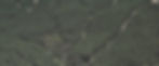 Aerial View_edited.jpg